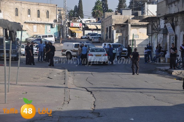 ta3n ludj31 (10).JPG